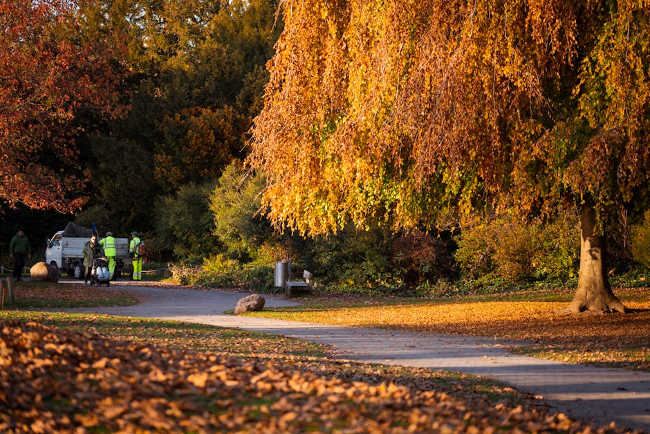A group of four workers in high-visibility jackets and helmets standing beside a small white pickup truck parked on a paved pathway in a park during autumn. The workers appear to be involved in garden waste clearance, with some carrying tools and equipment. The pathway runs through a recreational area with a large tree featuring dense, orange and yellow foliage on the right side, and fallen leaves scattered across the ground. In the background, there are additional trees with multicoloured autumn leaves creating a natural border. The scene is illuminated by warm, low-angle sunlight, highlighting the vibrant seasonal colours and the effort of outdoor waste removal. This image illustrates a private garden waste collection or on-site clearance activity, supporting alternative rubbish disposal services offered by companies like Rubbish Removal Streatham.